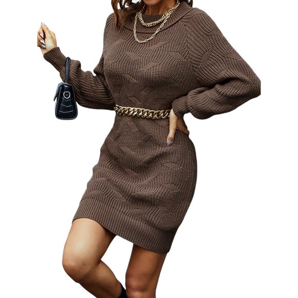 Raglan Sleeve Roll Collar Sweater Dress - Picture 5 of 6